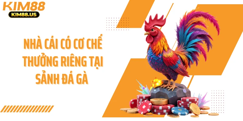 Nhà cái có cơ chế thưởng riêng tại sảnh đá gà