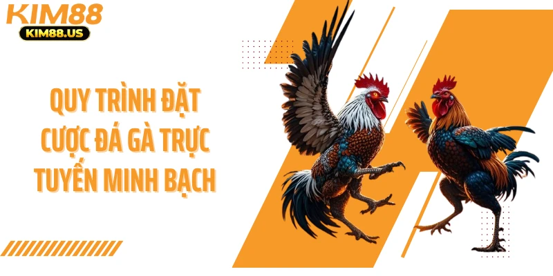 Quy trình đặt cược đá gà trực tuyến minh bạch