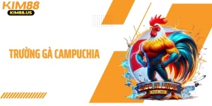 Trường Gà Campuchia KIM88 - Trực Tiếp Đấu Gà Đỉnh Cao